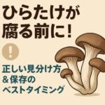 ひらたけが腐る前に！正しい見分け方＆保存のベストタイミング