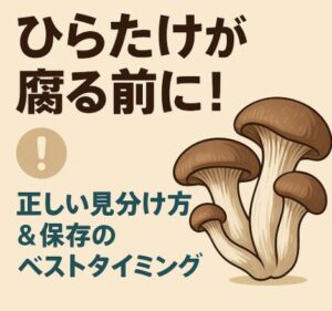 ひらたけが腐る前に！正しい見分け方＆保存のベストタイミング