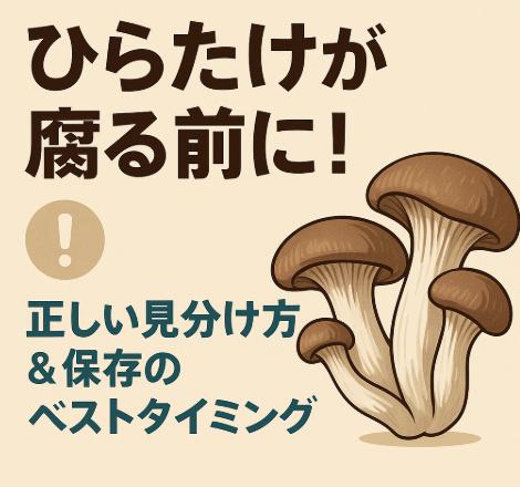 ひらたけが腐る前に！正しい見分け方＆保存のベストタイミング