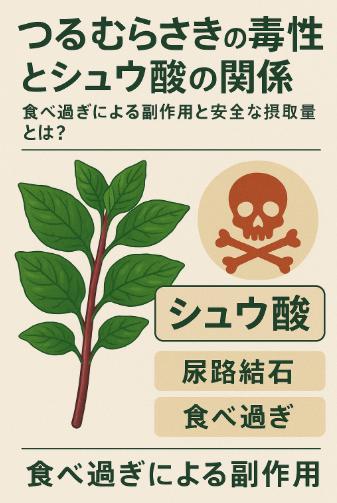 つるむらさきの毒性とシュウ酸の関係｜食べ過ぎによる副作用と安全な摂取量とは？