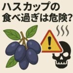 ハスカップの食べ過ぎは危険？お腹・胃にくる意外な副作用とは