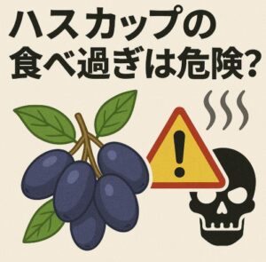 ハスカップの食べ過ぎは危険？お腹・胃にくる意外な副作用とは