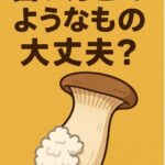 エリンギの白いふわふわはカビ？見分け方と食べられるかの判断ポイント