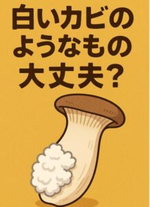 エリンギの白いふわふわはカビ？見分け方と食べられるかの判断ポイント