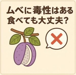 ムベに毒性はあるの？食べても大丈夫？可食部と注意点を解説