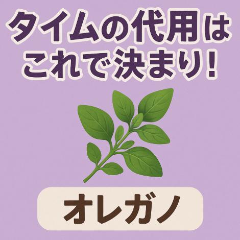 タイムの代用はこれで決まり！香りや料理別に最適なハーブ・調味料を解説