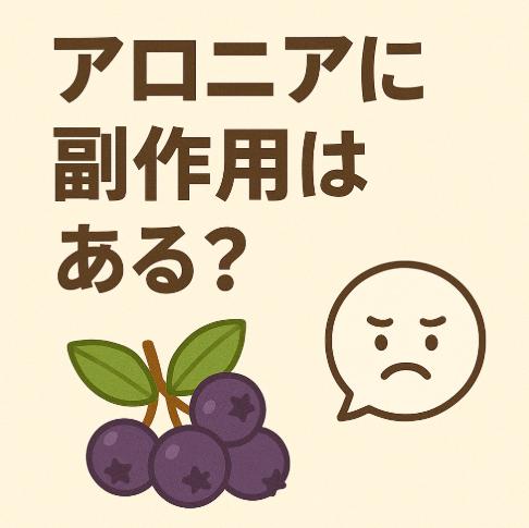 アロニアに副作用はある？健康効果とのバランスと注意点を解説します