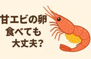 甘エビの卵は食べても大丈夫？食中毒のリスクと見分け方を紹介します