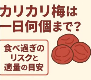 カリカリ梅は一日何個まで？食べ過ぎのリスクと適量の目安