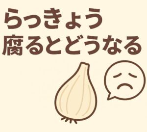 らっきょうが腐るとどうなる？見た目・匂い・味の変化と安全な保存方法