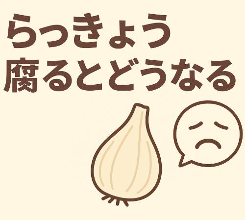 らっきょうが腐るとどうなる？見た目・匂い・味の変化と安全な保存方法