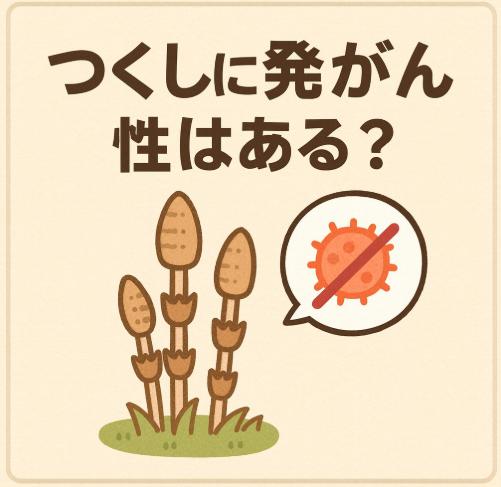 つくしに発がん性はある?食べても大丈夫?安全性と注意点を徹底解説