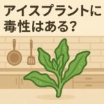 アイスプラントに毒性はある？安全性と注意点を徹底解説！