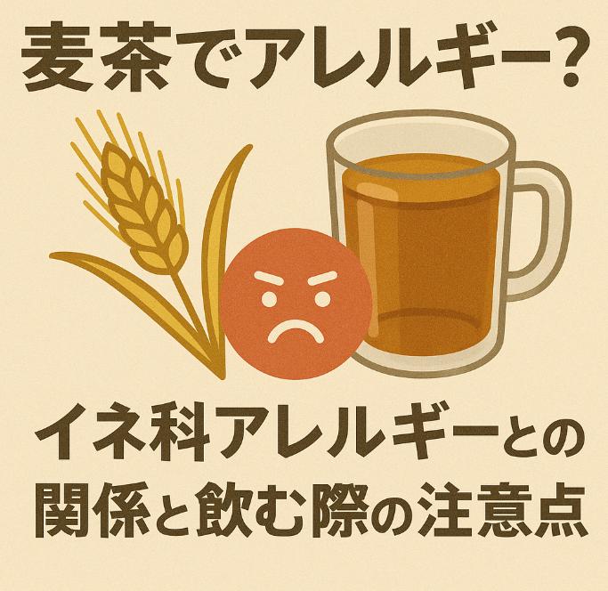 麦茶でアレルギー？イネ科アレルギーとの関係と飲む際の注意点