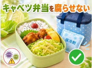 弁当のキャベツが腐るのを防ぐ!実践的な対策方法を徹底解説