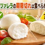 モッツアレラチーズは賞味期限切れでも食べられる？安全な見分け方を解説