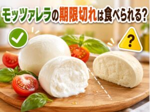 モッツアレラチーズは賞味期限切れでも食べられる？安全な見分け方を解説