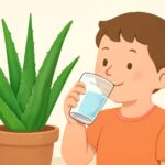 アロエは何歳から子供に飲ませても大丈夫？安全な使用方法を徹底解説