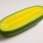 きゅうりが中まで黄色い原因は何？食べられるのか徹底解説