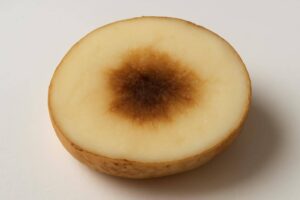 ジャガイモの中が茶色い原因は？食べられるか安全性を徹底解説