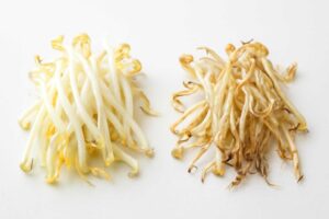 もやし消費期限切れ1日後でも食べられる?安全な見分け方と保存方法